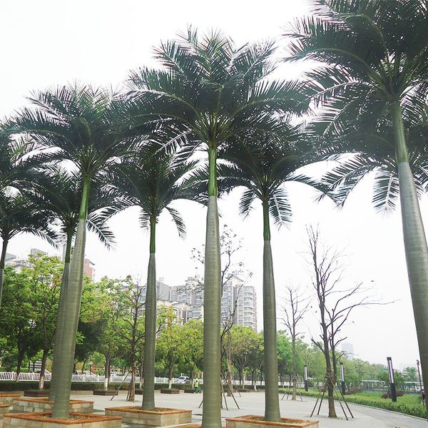 

artificial coconut banana leaves plastic palm leaves home decoration artificial greenery tropical green leafs decorating