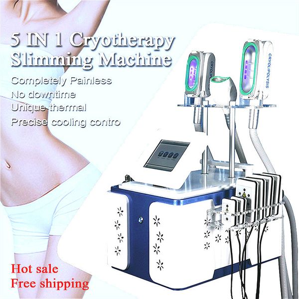 

новый развитый 360° полный вакуум-охлаждая машину cryolipolysis профессиональная технология похудения работа 2 ручек на таком же времени