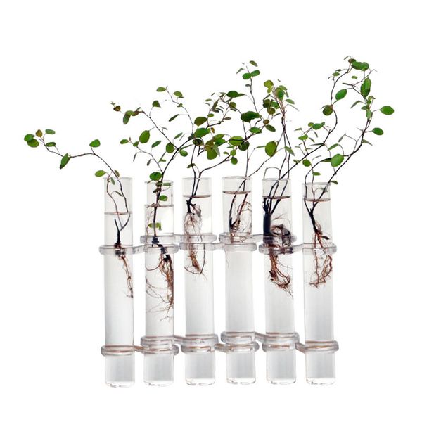 

6 glass tubes shape hanging hydroponic flower plant vase terrarium container