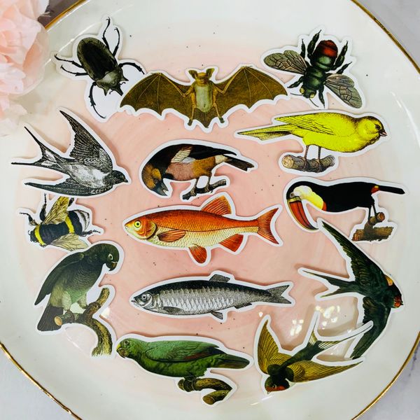 

14pcs bird insect fish kids fun paper stickers homemade bookkeeping decals on lap/ decorative scrapbooking / diy