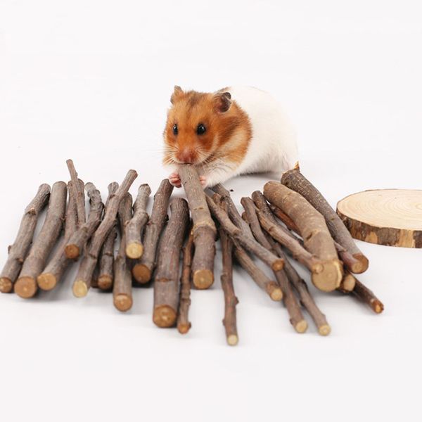 

5pcs 10pcs chew stick apple tree branch hamster squirrel natural toys parrots rabbits grinding stick