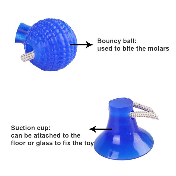 

pet molar bite toy cats dogs tug rope ball chew toys pet tooth cleaning with suction cup self interactive toys for dog puppy