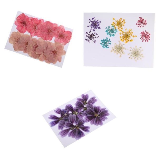 

30x pressed dried flower f resin jewelry craft diy card making embellishment