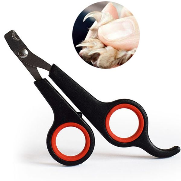 Acheter Gros Chien Coupe Ongles Chien Griffe Pet Nail Clippers Fournitures Chats Ongles Tondeuses Tondeuse Tondeuse Pour Animaux De Compagnie Griffe