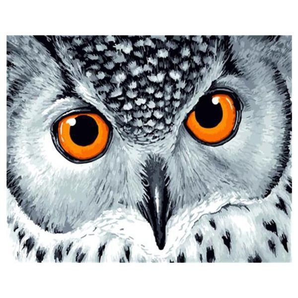 Eule Malen Nach Zahlen Tier Malen