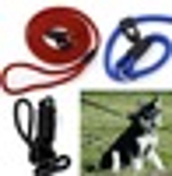 

nylon rope pet dog slip training p-leash walking leading collar