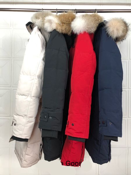 

wholesale 2019 women outwear down &parkas women down coats jackets with 90% white duck down wolf fur hair mixed order style no:15, Black