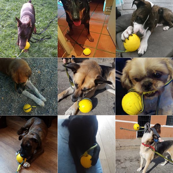 

interactive dog toy toothbrush eva dog ball with rope 9/6.4cm size pet toys for puppies puppy floatable in water pet products