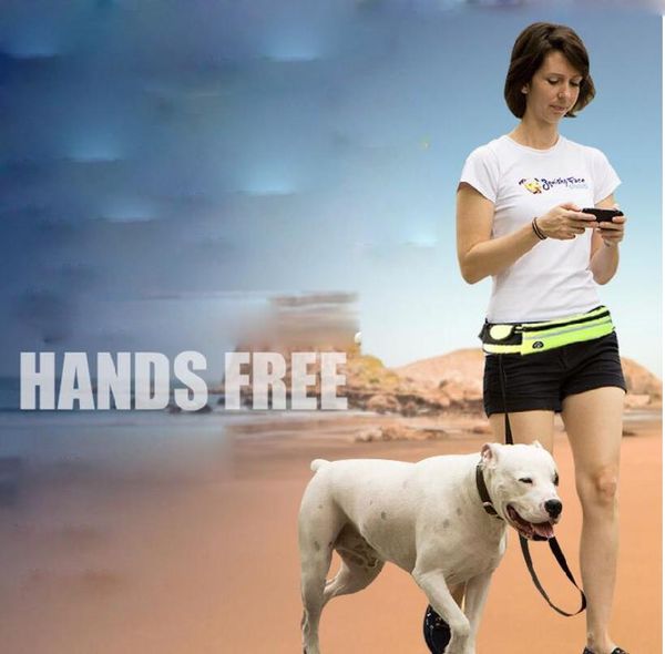 

160cm 3 in 1 hands running dog leash lead with adjustable bungee waist belt, multifunctional pouch for small medium dogs