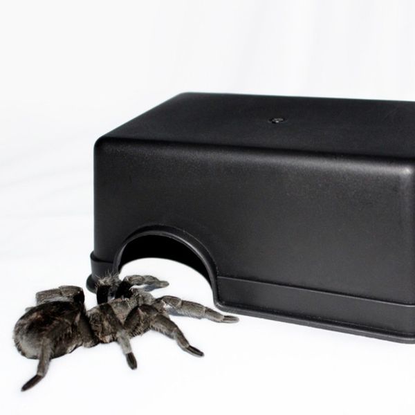

малый ползучая pet игрушки многофункциональный reptile скрыть cave winter теплый дом ящерицы, черепахи, змеи, лягушки