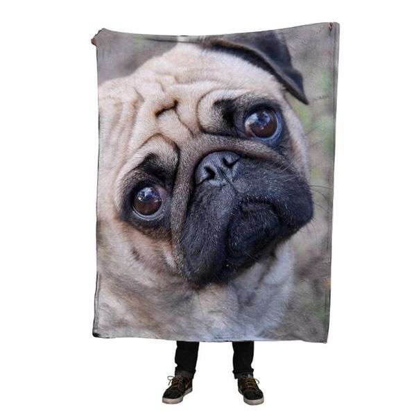

ehomebuy 2018 3d blanket cute pug 3d dog print kid adults flannel soft comfortable cover quality home air conditioning portable