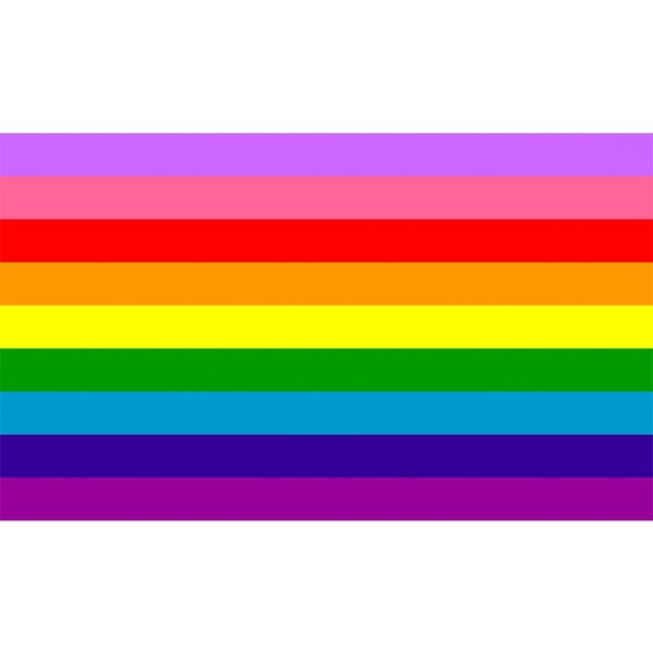 

2017 diversity lgbt flag 90*150cm hanging for decoration