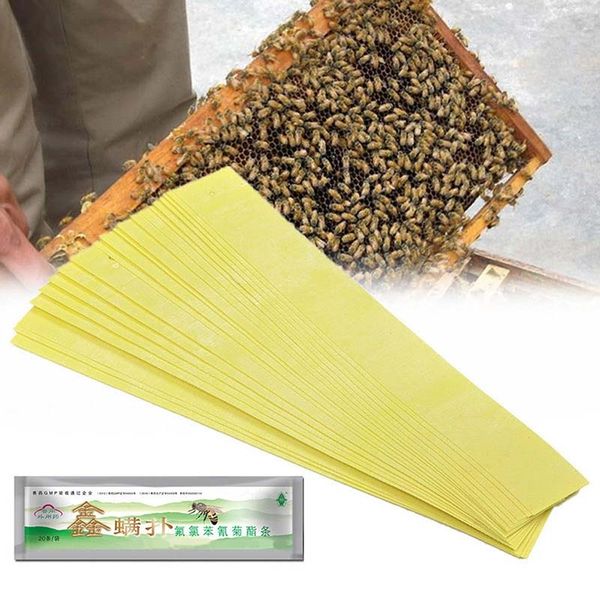 

20pcs/bag varroa strips fluvalinate bee mite killer treatment tool beekeeping pest control dtt88 other garden tools