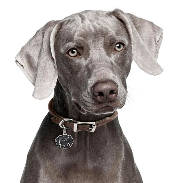 

эмаль pet собак подвески с раздельным брелок брелок мешок делая подгонку для собак pet воротник брелок подвеска аксессуары, Bronze;silver