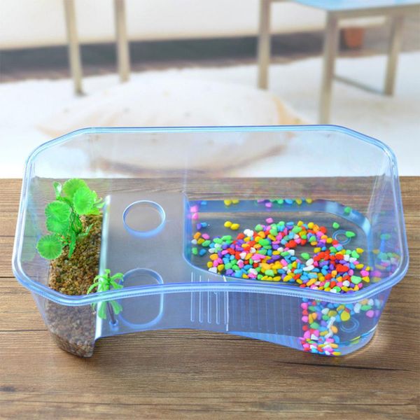 

reptile turtle tortoise vivarium box aquarium tank with basking ramp