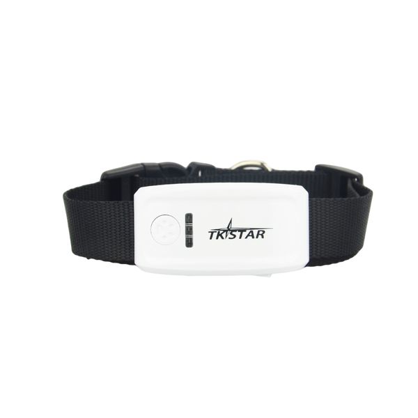 

tkstar gps personal&pet trackertk909 global locator real time pet gps tracker for pet dog/cat collar tracking platform