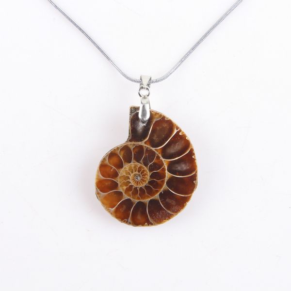 

natural nautilus ammonite pendant conch chain shell pendant for necklace jewelry crafts ornaments gifts, Silver