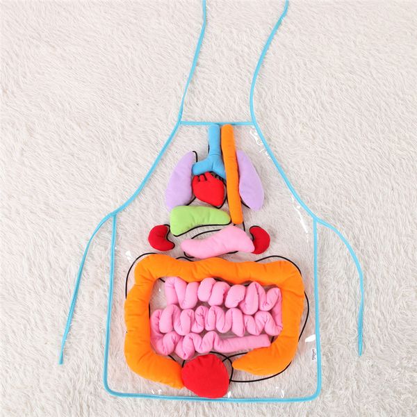New Educational Insights Toys For Children Anatomy Apron Human Body Organs Aware