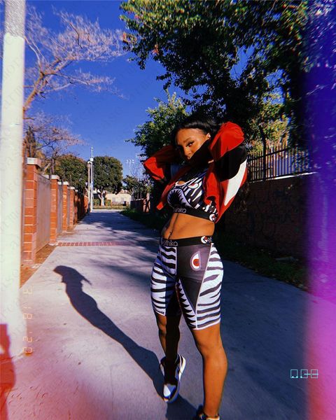 

women swimsuit i-shaped vest push up bra shorts 2 piece set swimwear bikini shark zebra striped beach swim suits tankini d42402, Blue