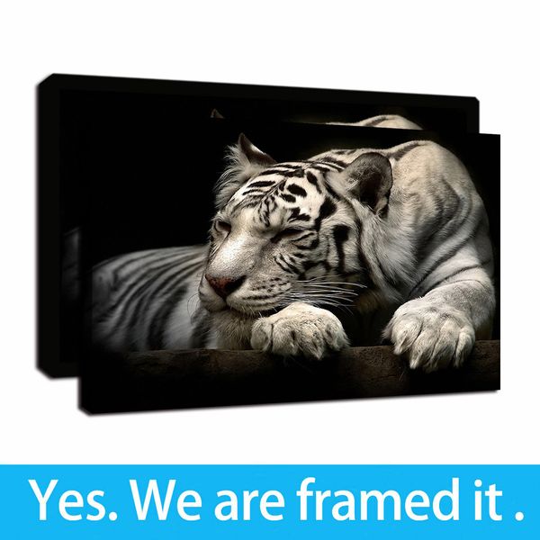 White Tiger Black and White colorido HD Início Wall Decor Fotografia em tela emoldurada Oil Painting Wall Art Imagem - pronto para pendurar