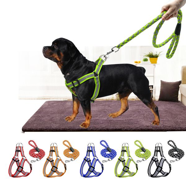 

large reflective small dogs collar harness leash harnais pour chien pettorina nylon pitbull pet cat puppy accessories supplies