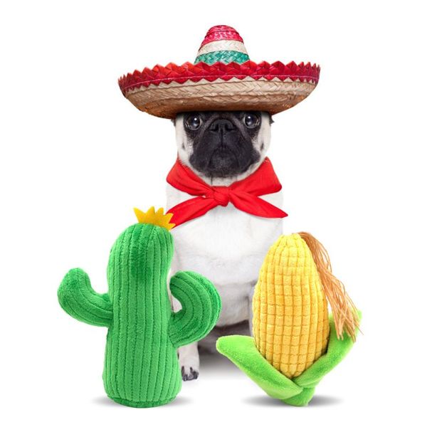 

pet dog toys cute plush cactus shaped toys dog chew toys kitten puppy dog training toy pet supplies