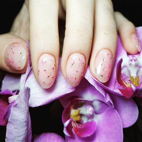 

2019 new fashion douborq dry model gum transparent gum fairy series nail polish esmalte para unha drop shipping g625