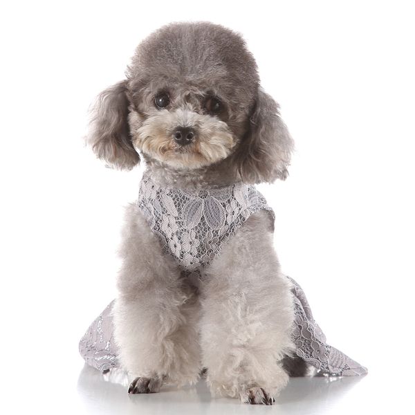 

cute lovely dog puppy summer dress pet princess dress for small dog puppy