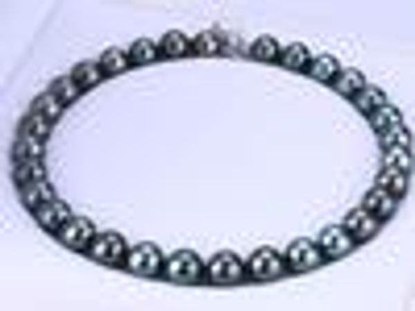 

10-11mm natural south seas black pearl necklace 17inch 925 silver accessories