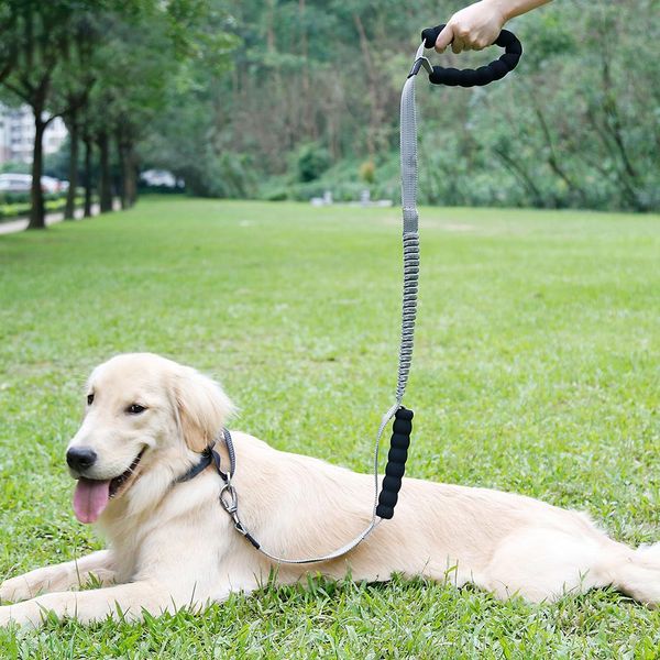 

tpfocus 120-140cm pet dog воѬоник жгђ поводок многођнкионалнй вока Ѭей pet поводо