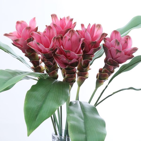 

2pcs 66cm artificial plastic curcuma alismatifolia flowers fake ginger lotus flower multiple colour for home wedding decoration