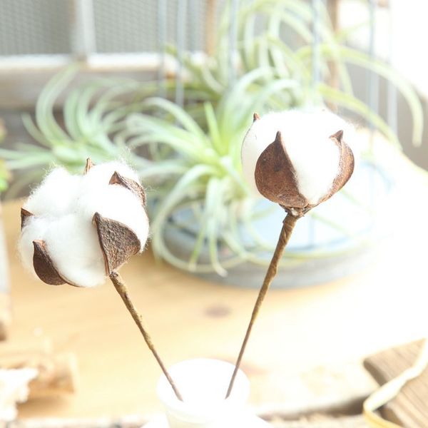 

10pcs natural cotton dried cotton stems artificial flower branch filler floral decor fake flower home bedroom decoration