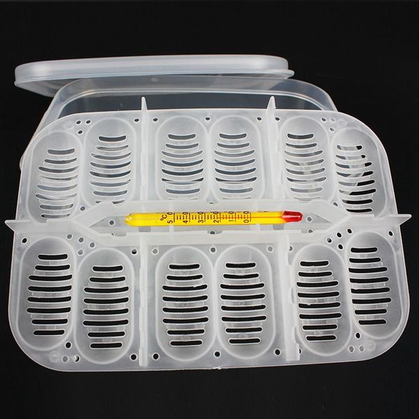 

12 holes reptile egg incubation tray with thermometer incubating gecko lizard snake eggs incubation tool pet supplies