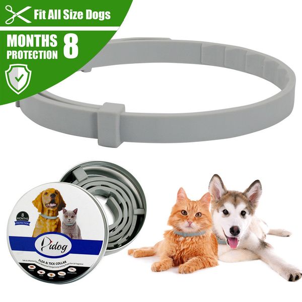 

new pet dog collar anti flea ticks mosquitoes outdoor adjustable pet collar cat dog accessories 8 months long-term protection