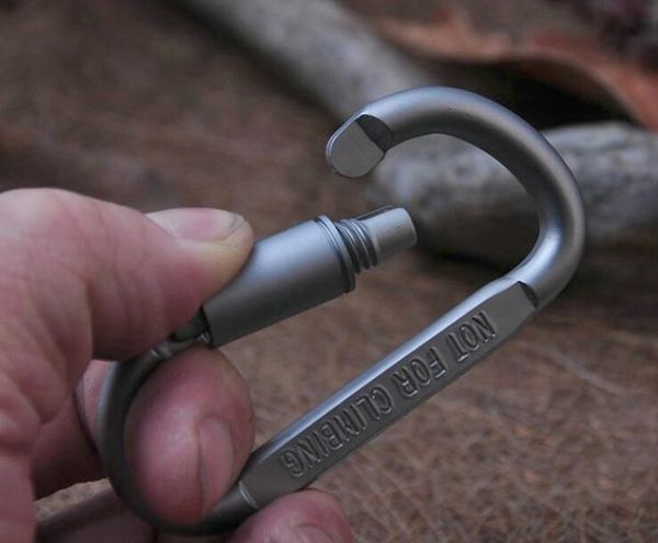 Fivela de segurança ao ar livre Liga de alumínio D Forma Botão de escalada Mosquetão Snap Clip Gancho Chaveiro Chaveiro Mosquetões Camping Caminhadas Venda quente