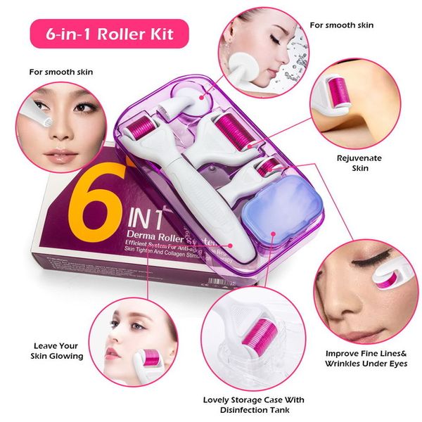 6in1 Microneedle Derma Rulo Kiti Titanyum Dermaroller Göz Yüz Vücut Tedavisi için Mikro İğne Yüz Rulo Yüz Temiz Fırça