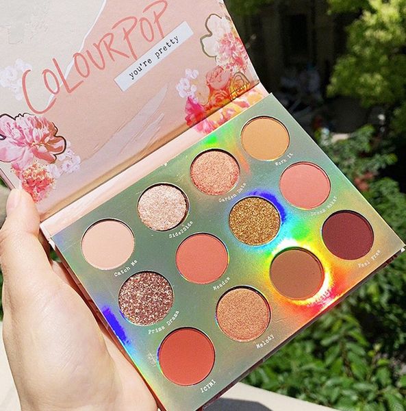 

Цвет-поп 12 цветов Сладкий Обсуждение Matte Eyeshadow Palette Foundation пудра тени для век Палитр
