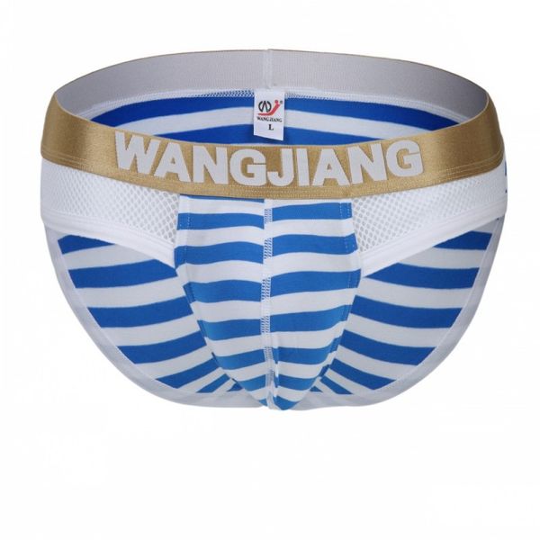 

men's underpants lingerie cotton mesh striped pouch briefs underwear blue #4013sj, Black;white