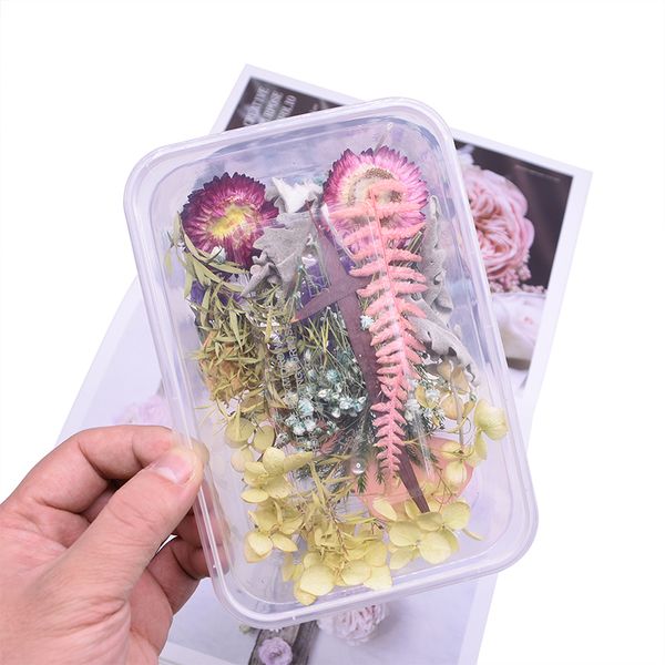 

mixed real dried flower dry plants natural floral for art craft scrapbooking resin jewelry necklace making craft diy accessories