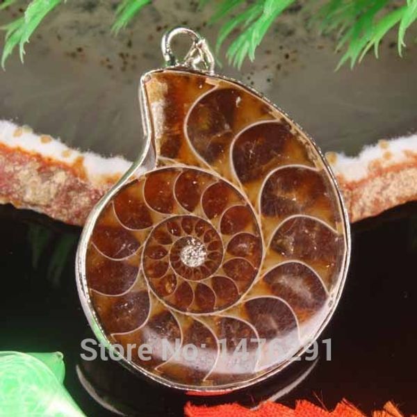 

natural opal tiger eye lapis lazuli amethysts ammonite conch shell pendant bead 1pcs, Silver