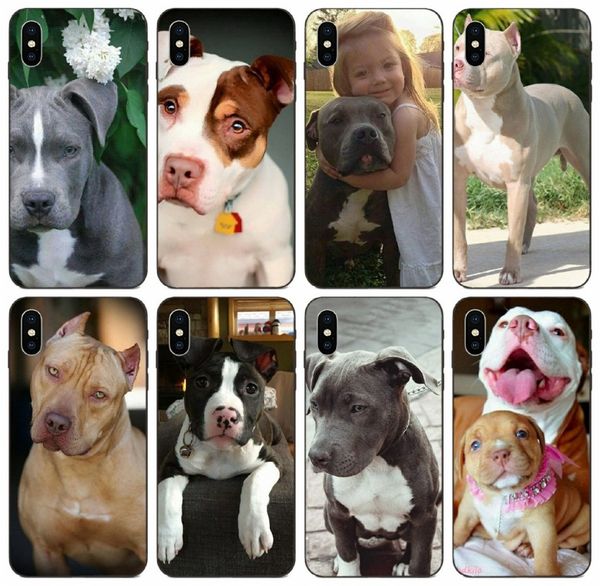 

[tongtrade] pitbull dog case for iphone 11 pro max x xs xr 8s 8 7s 7 plus galaxy j2 j8 s10 s9 s8 honor 4c 5a 5c htc desire 626 silicone case