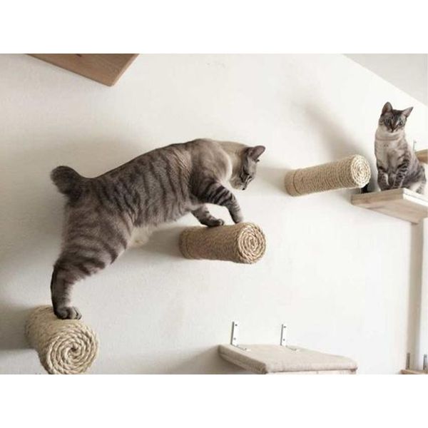 

настенный сизаль кошка царапина столб кошка дерево дом скребок котенок башня домашнее животное восхождение мебель скалолазание рамки котенок