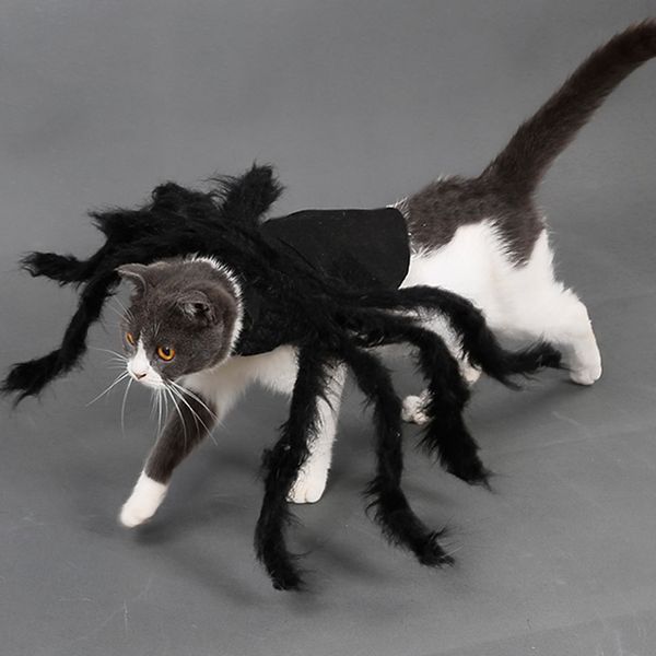 

1 pc halloween cat dog bat role play dressing up clothes pet dogs clothes spider cosplay pet costume for halloween christmas