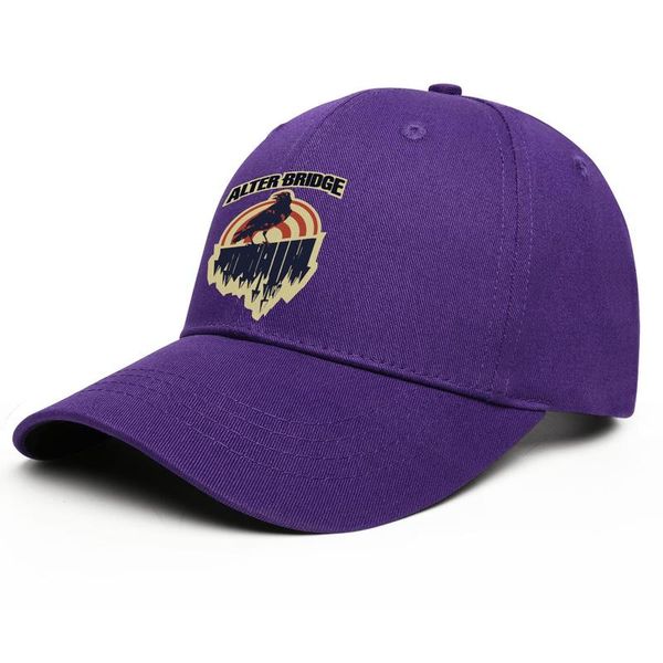 

fashion alter bridge baseball cap custom classic trucke hats design logo, Blue;gray