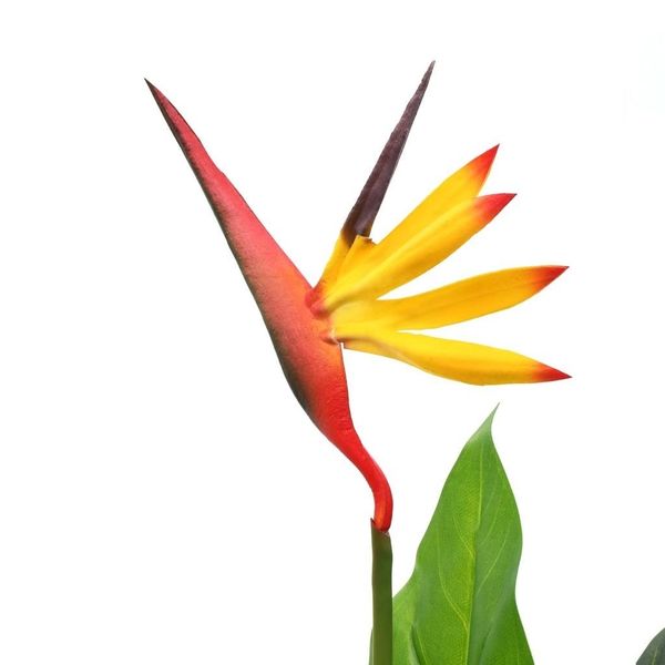 

strelitzia queen artificial bird paradise bird 66 cm wall stickers