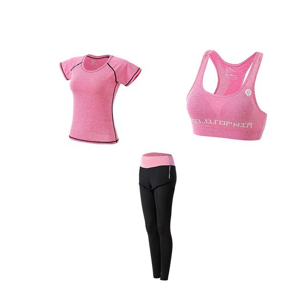 pink 3 piece gym set