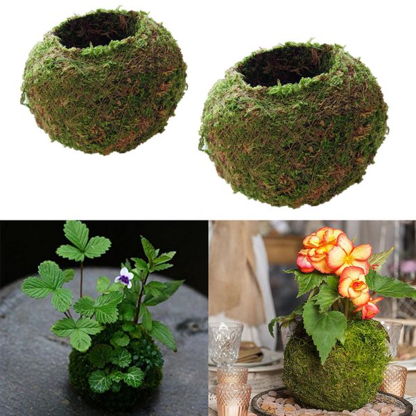 

2 x green moss ball flowerpot bonsai holder planter garden decor 6cm & 15cm