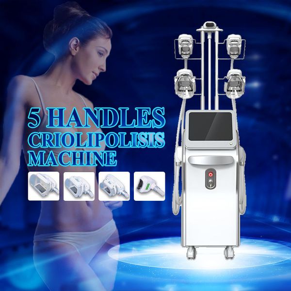 

2020 new design 4 cryo handles cryolipolysis 360 degree weight loss cryotherapy beauty machine/ 4 handles can work at same time