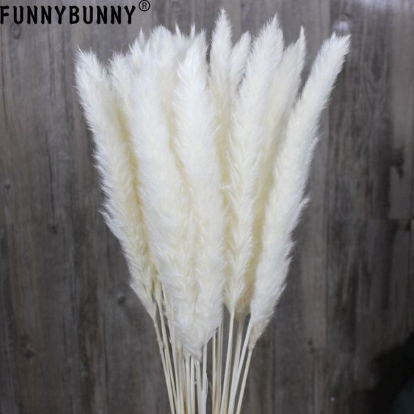 Acheter Funnybunny Herbe Naturelle Séchée De La Pampa Phragmites Communis Bouquet De Fleurs De Mariage 75cm De Hauteur Pour La Décoration