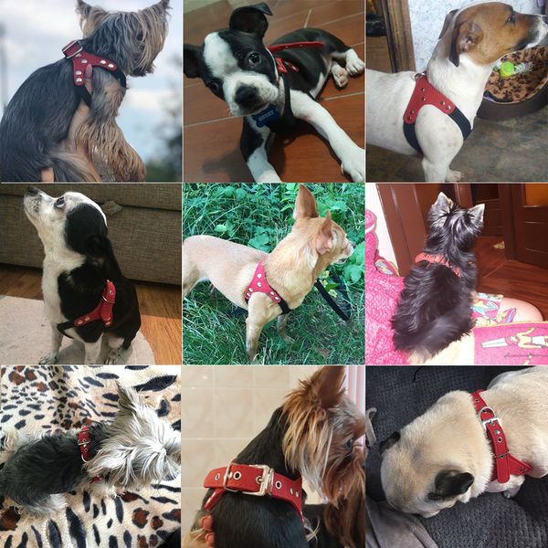 

soft suede leather small pet dog harness for puppies chihuahua yorkie teddy pup puppy adjustable chest harness for dogs supplies